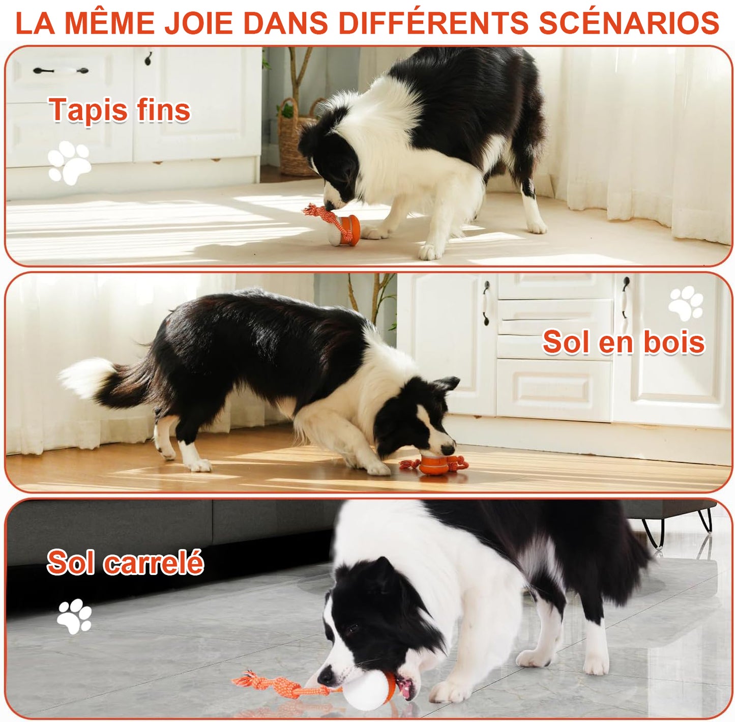 🐶Le YOBENSUN™ – Gardez votre animal détendu, heureux et épanoui 🐾