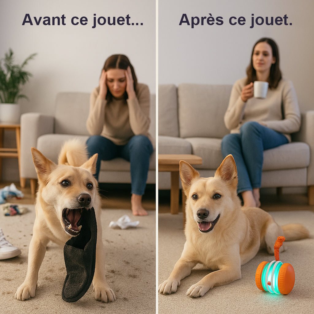 🐶Le YOBENSUN™ – Gardez votre animal détendu, heureux et épanoui 🐾