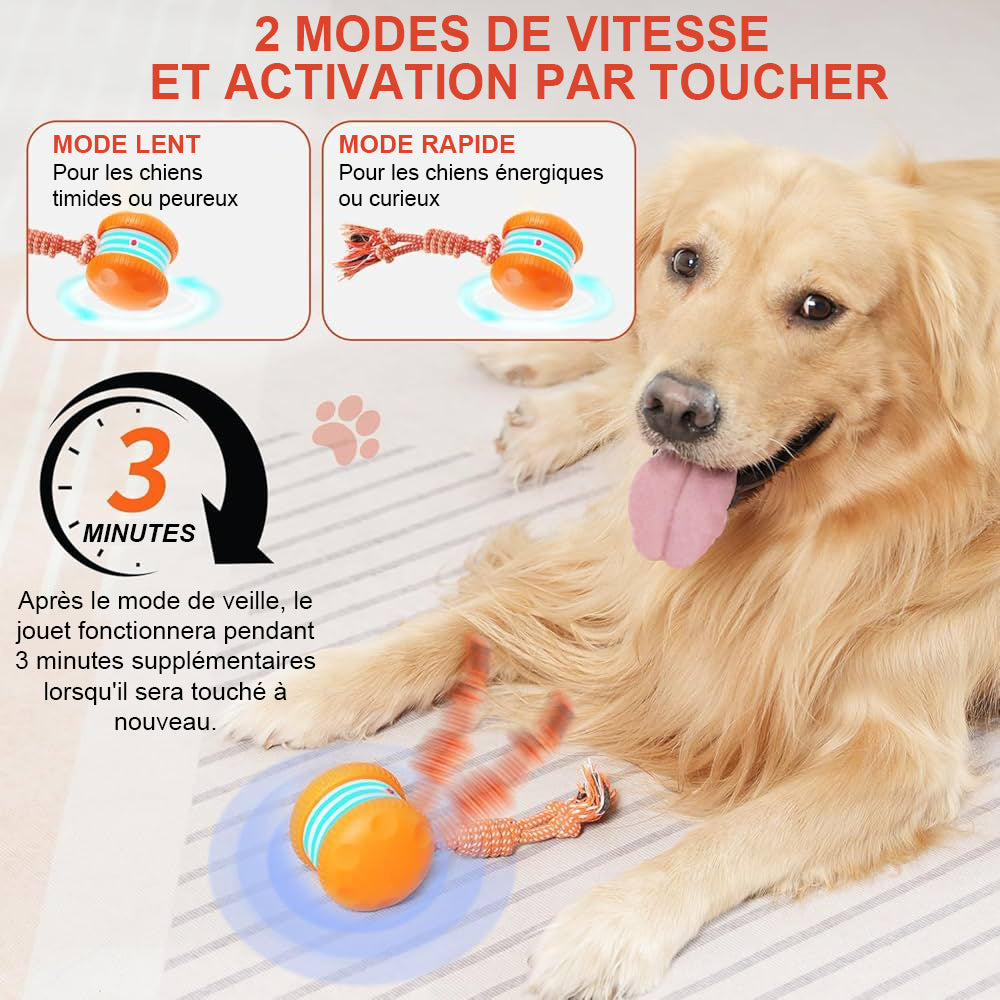 🐶Le YOBENSUN™ – Gardez votre animal détendu, heureux et épanoui 🐾