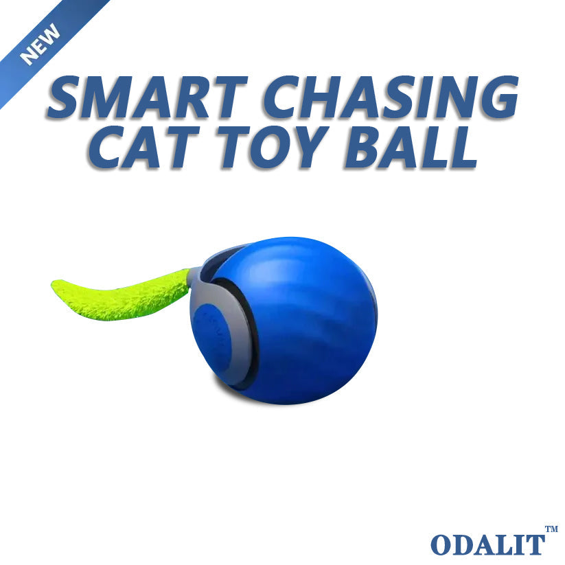 Balle interactive intelligente pour chat qui court toute seule 😸