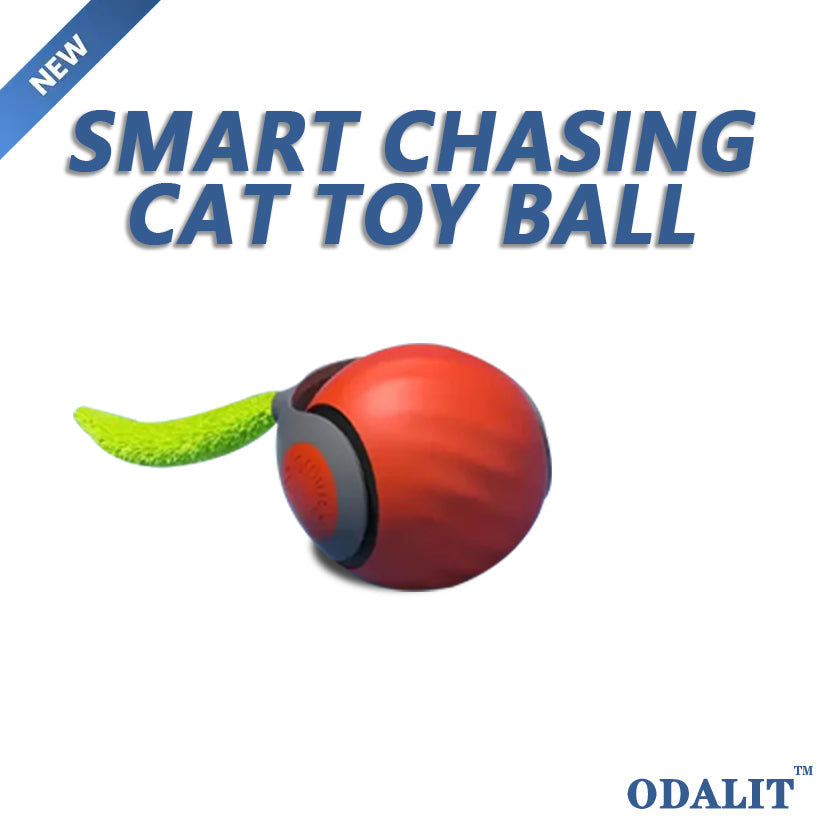 Balle interactive intelligente pour chat qui court toute seule 😸