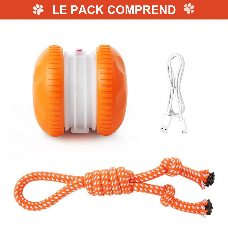 🐶Le YOBENSUN™ – Gardez votre animal détendu, heureux et épanoui 🐾