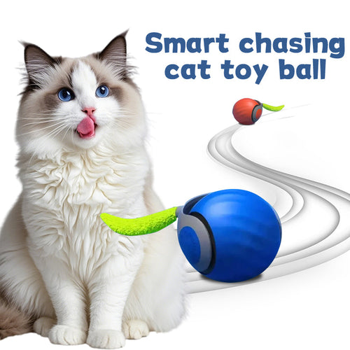Balle interactive intelligente pour chat qui court toute seule 😸