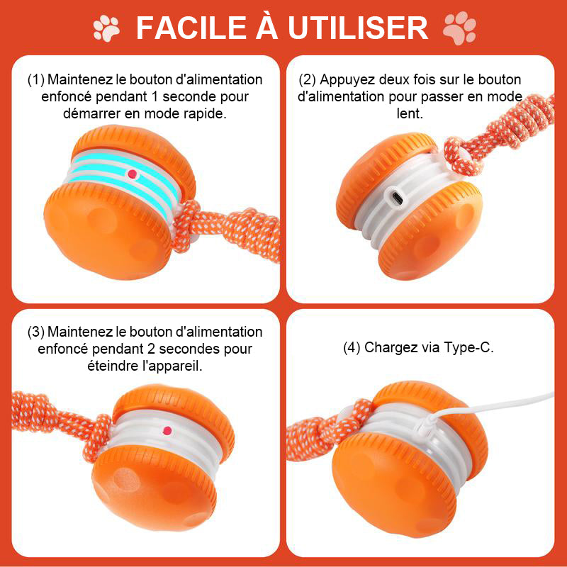 🐶Le YOBENSUN™ – Gardez votre animal détendu, heureux et épanoui 🐾
