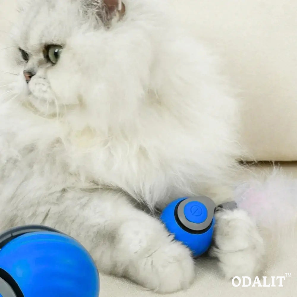 Balle interactive intelligente pour chat qui court toute seule 😸