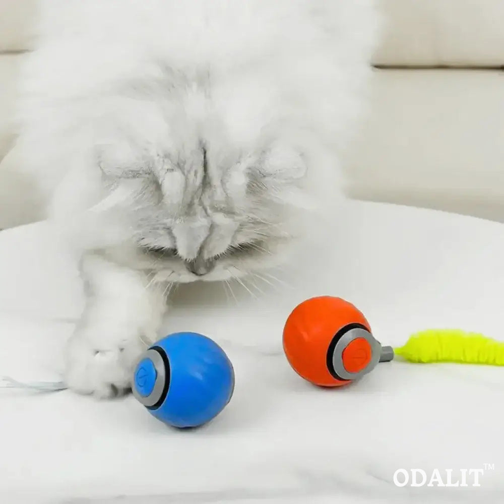 Balle interactive intelligente pour chat qui court toute seule 😸