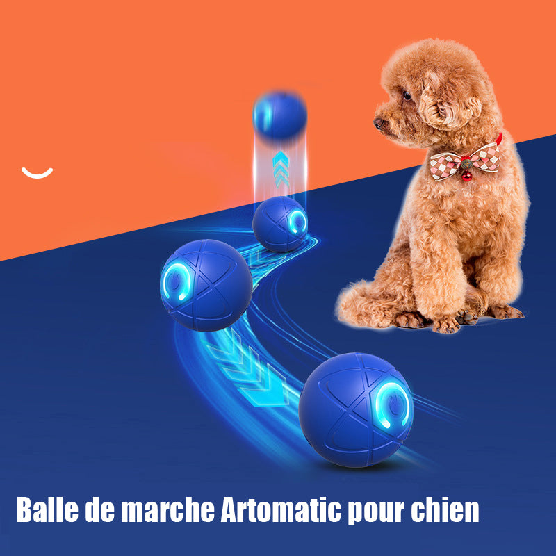✨Nouveauté 2025 -50 % de réduction - Balle rebondissante pour chats 🐱 et chiens 🐶