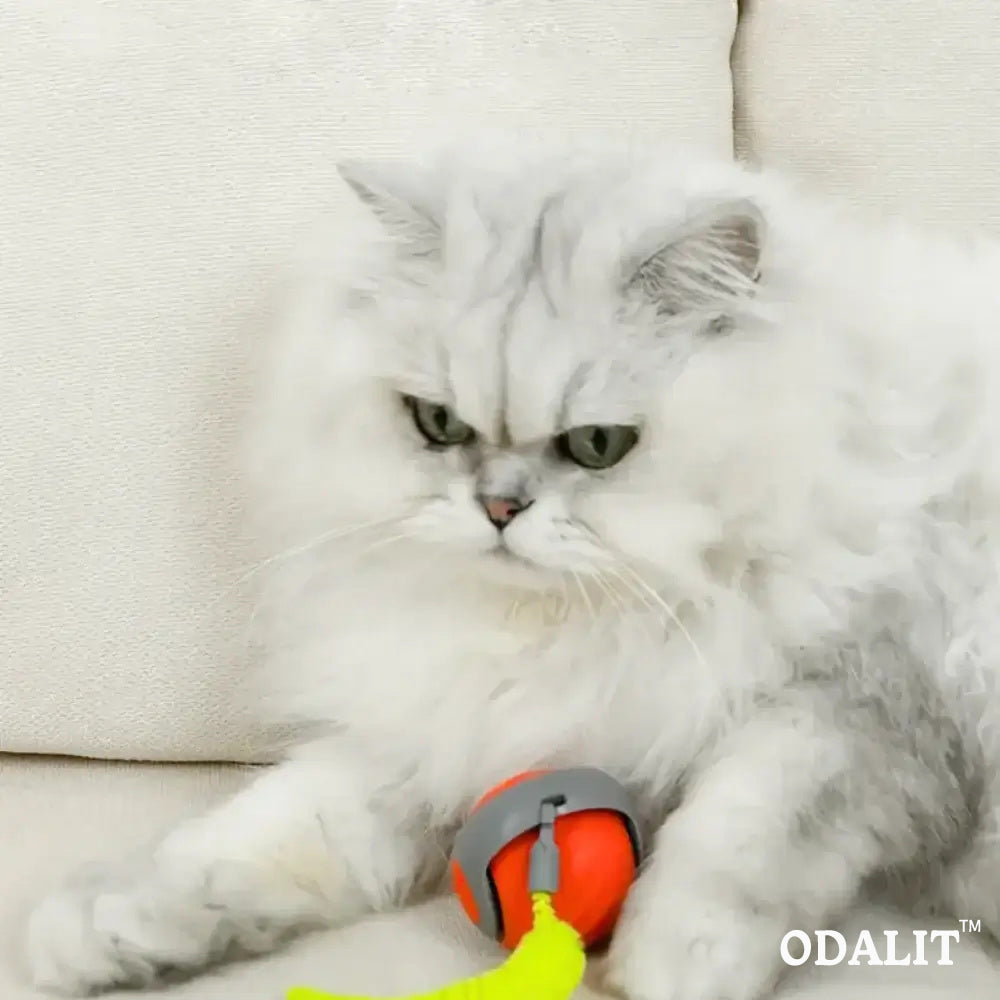 Balle interactive intelligente pour chat qui court toute seule 😸