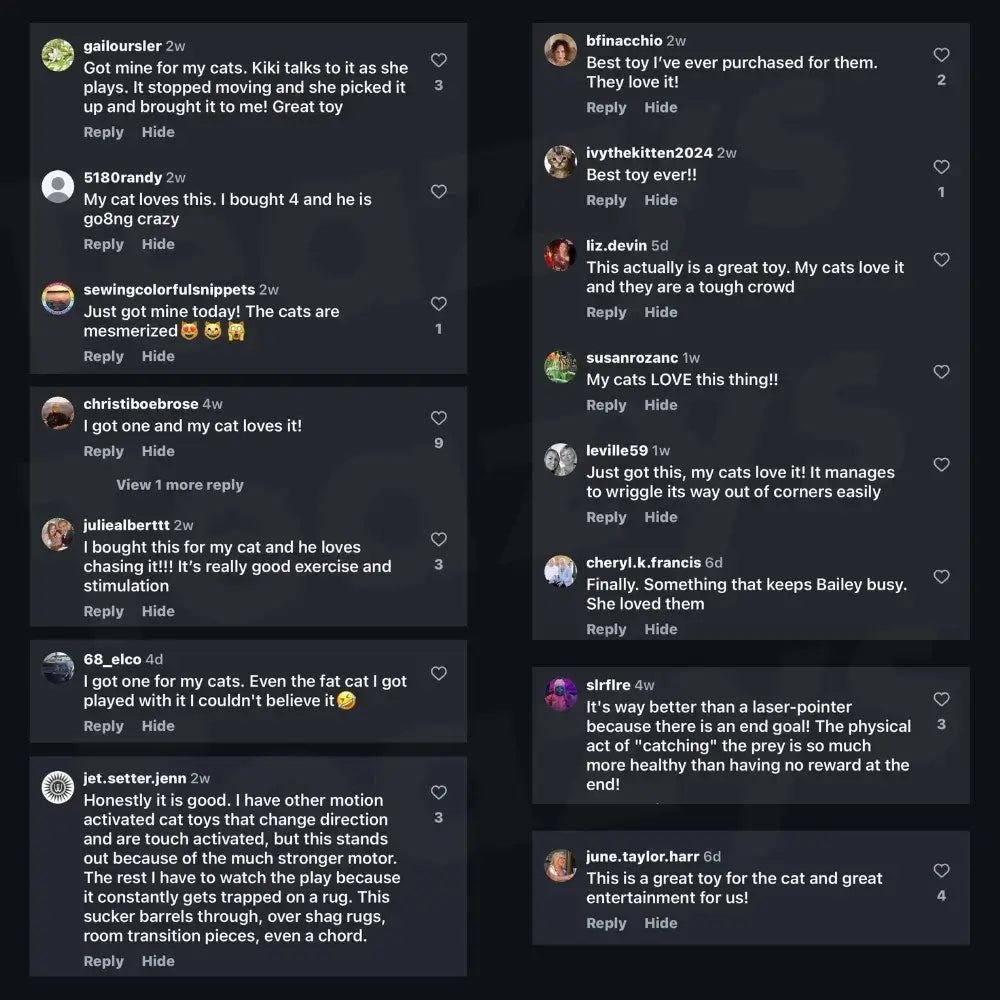 Balle interactive intelligente pour chat qui court toute seule 😸