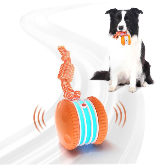 🐶Le YOBENSUN™ – Gardez votre animal détendu, heureux et épanoui 🐾