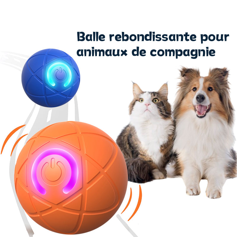 ✨Nouveauté 2025 -50 % de réduction - Balle rebondissante pour chats 🐱 et chiens 🐶