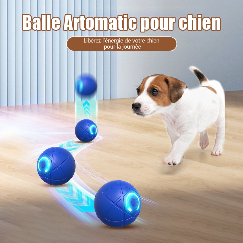 ✨Nouveauté 2025 -50 % de réduction - Balle rebondissante pour chats 🐱 et chiens 🐶