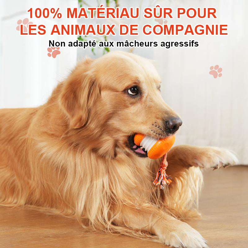 🐶Le YOBENSUN™ – Gardez votre animal détendu, heureux et épanoui 🐾