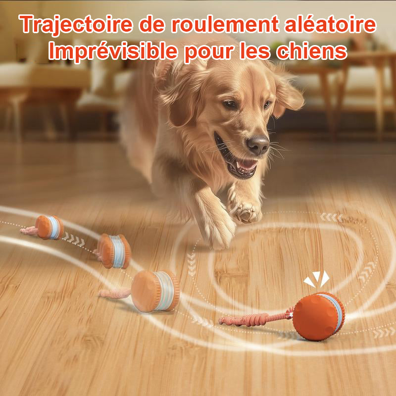 🐶Le YOBENSUN™ – Gardez votre animal détendu, heureux et épanoui 🐾