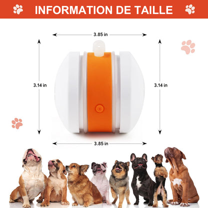 🐶Le YOBENSUN™ – Gardez votre animal détendu, heureux et épanoui 🐾